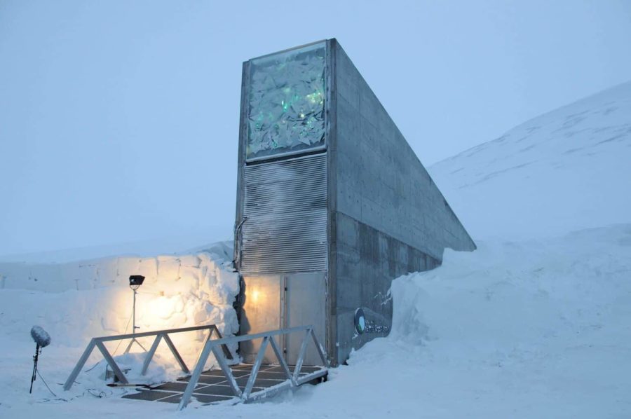 The Svalbard Global Seed Vault-מבנה בטון מרובע וצר